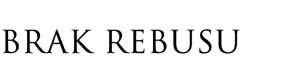 rebus